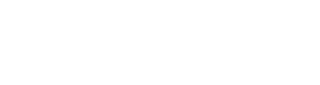FLEX Staffing & Recruiting Logo in White