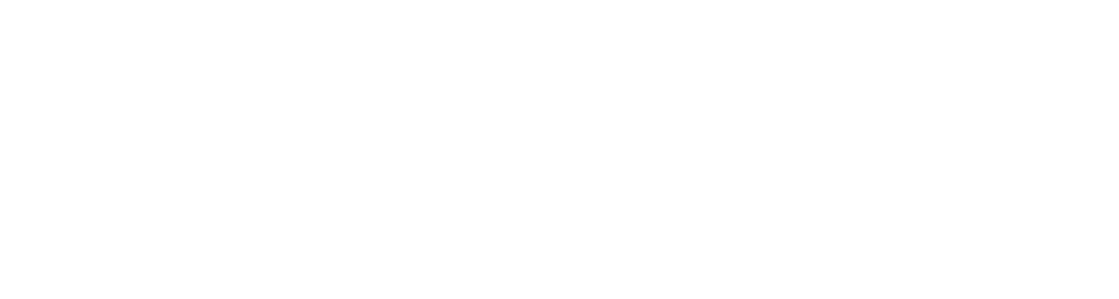 FLEX Staffing & Recruiting Logo in White